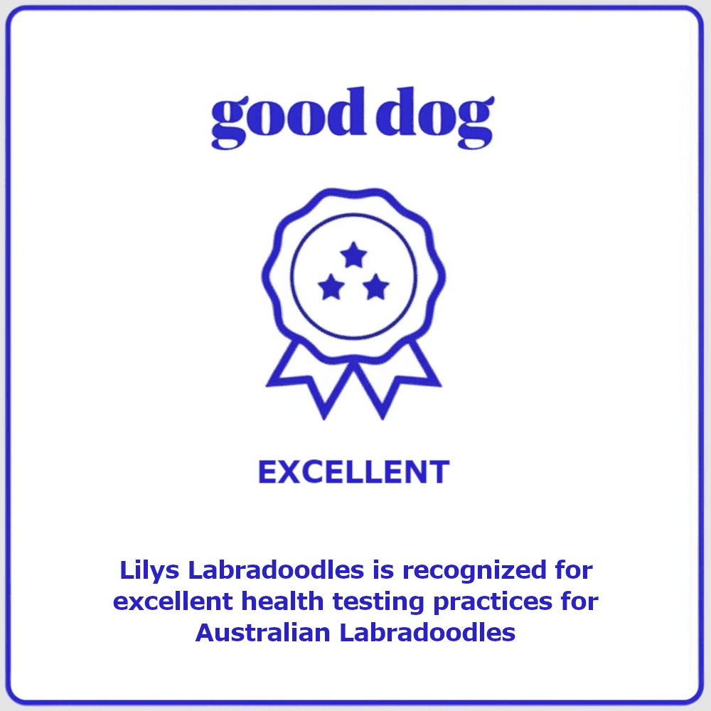Good Dog — Excellent health testing