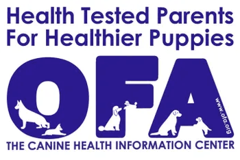 OFA — Canine Health Information Center
