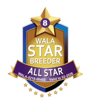 World Australian Labradoodle Association