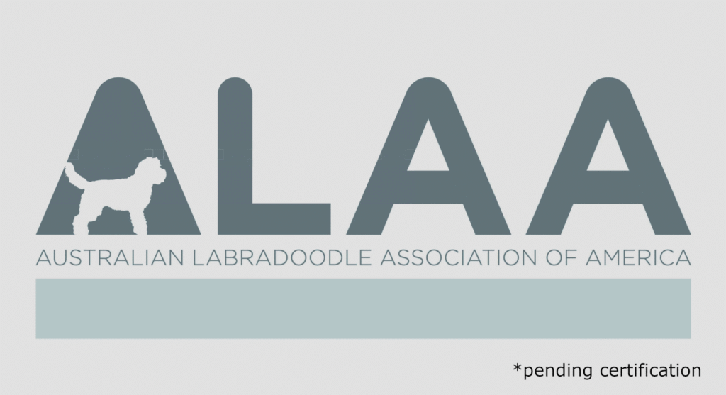 alaasmallernosactosmall