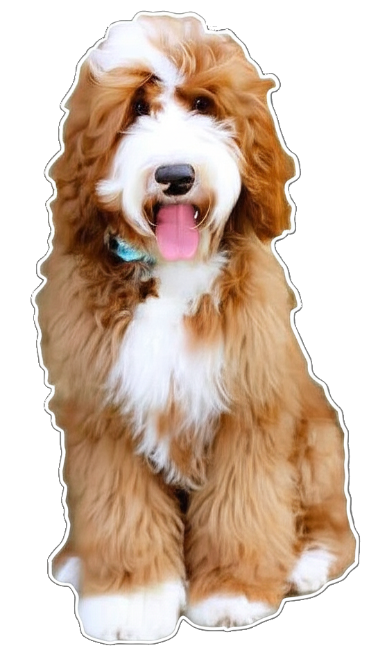 dogcutoutalpha