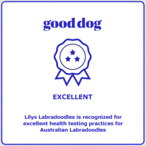 gooddog